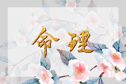 农历日历2026年|农历黄历万年历|农历查询老黄历